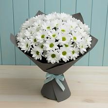Букет цветов из:  Хризантемы в Бородинское поле