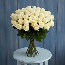 Букет 51 Белая роза Эдлесс Лав #REPLACE_PRED# Бородинское поле