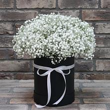 Цветочная композиция из Гипсофила в шляпной коробке #REPLACE_PRED# Бородинское поле